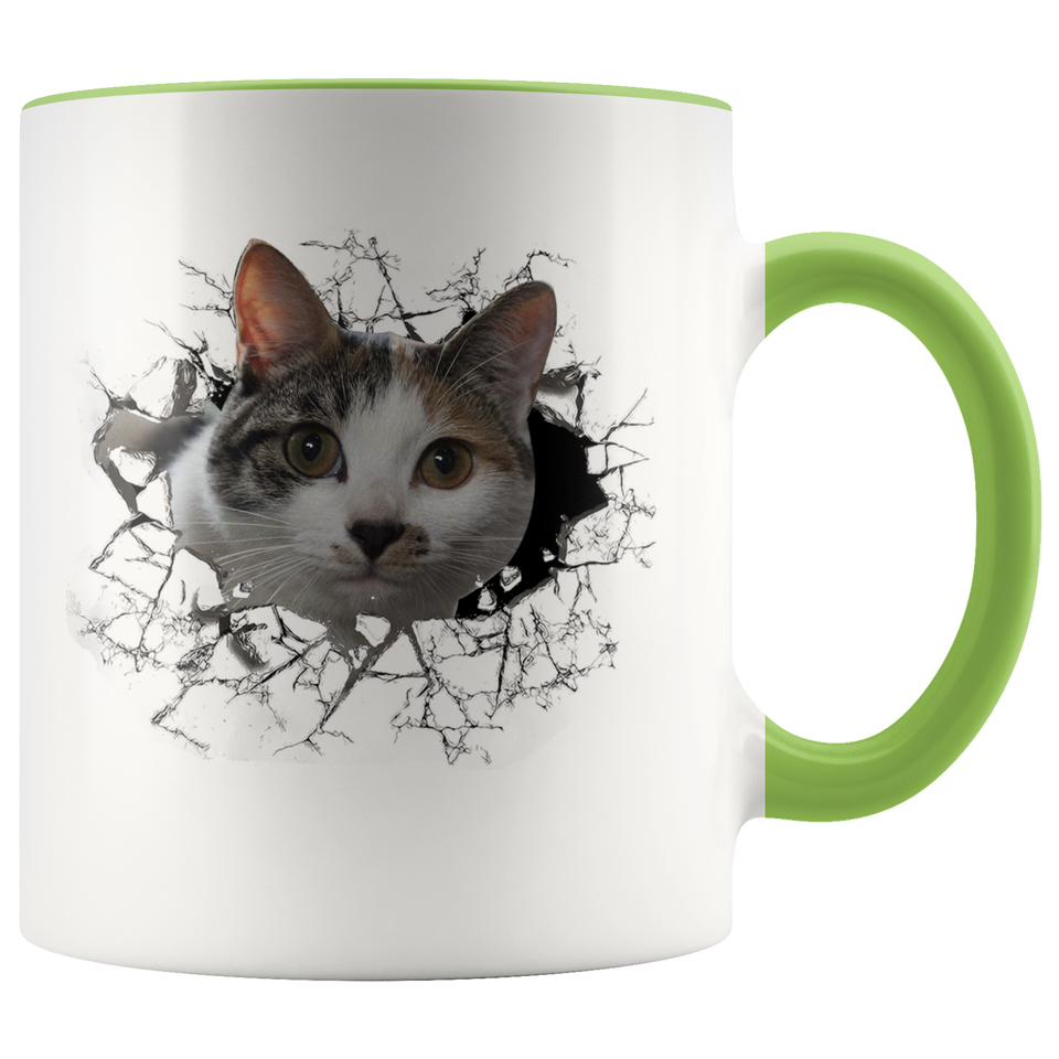 cat 102