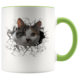 cat 102