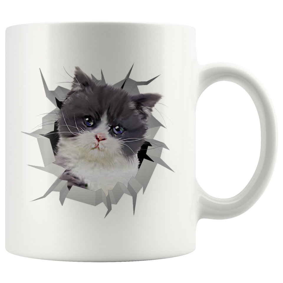 cat 4