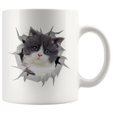 cat 4