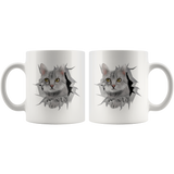 cat 9