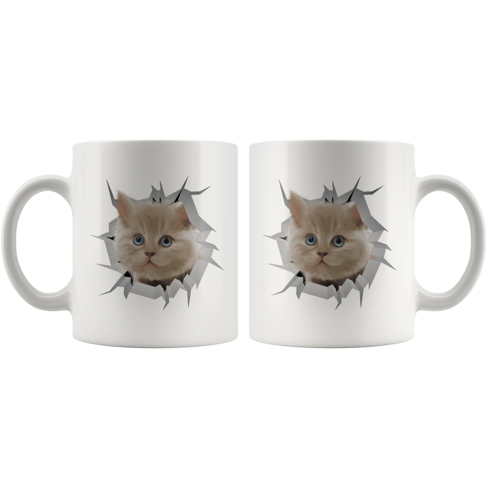 cat 7.1
