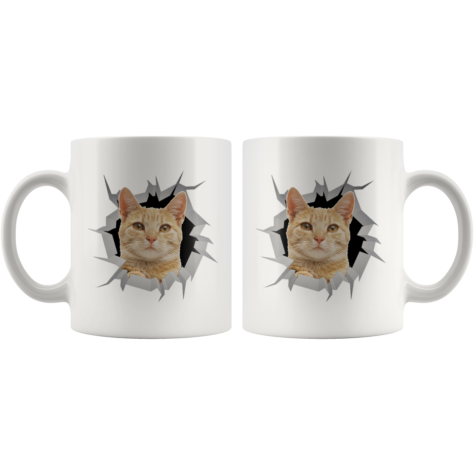 cat 21