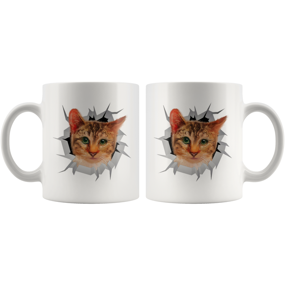 cat 8