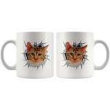 cat 8