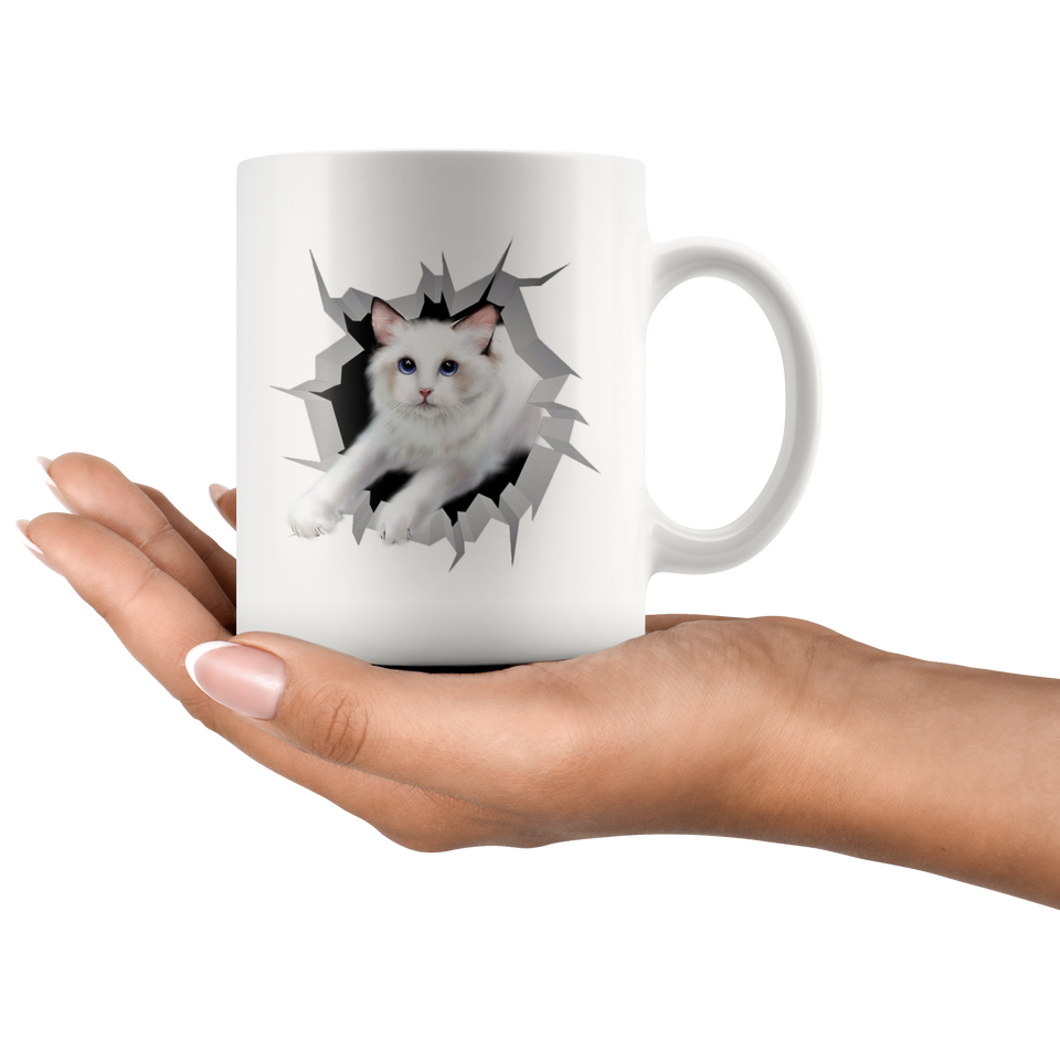 cat 34