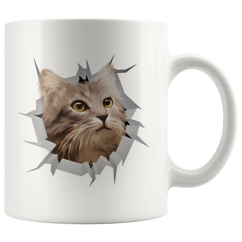 cat 41