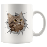 cat 41