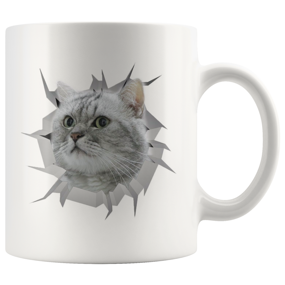 cat 5