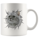 cat 5