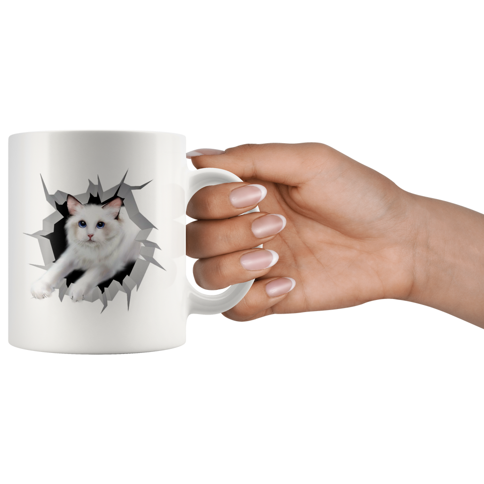 cat 34