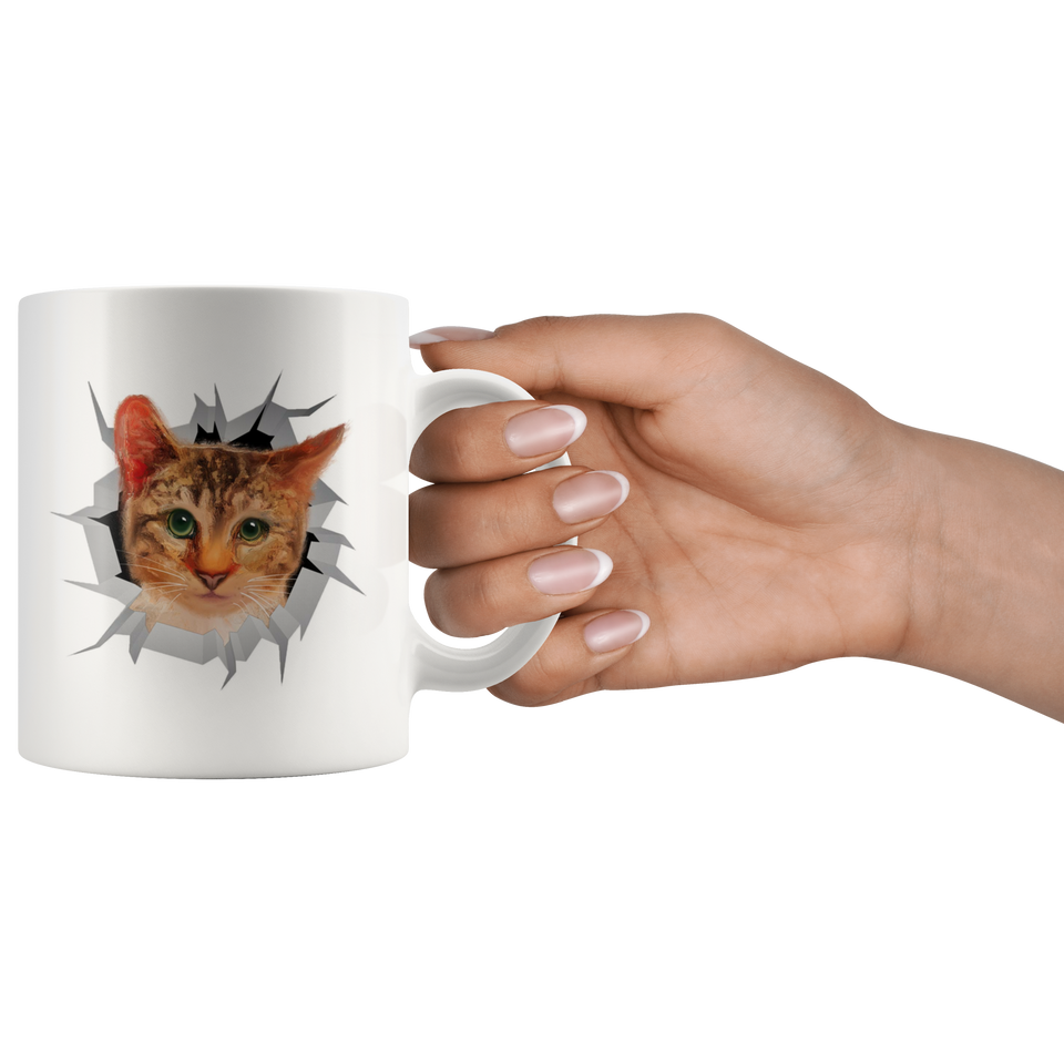 cat 8