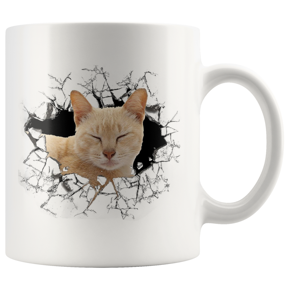 cat 111