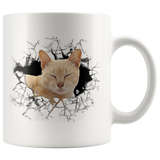 cat 111