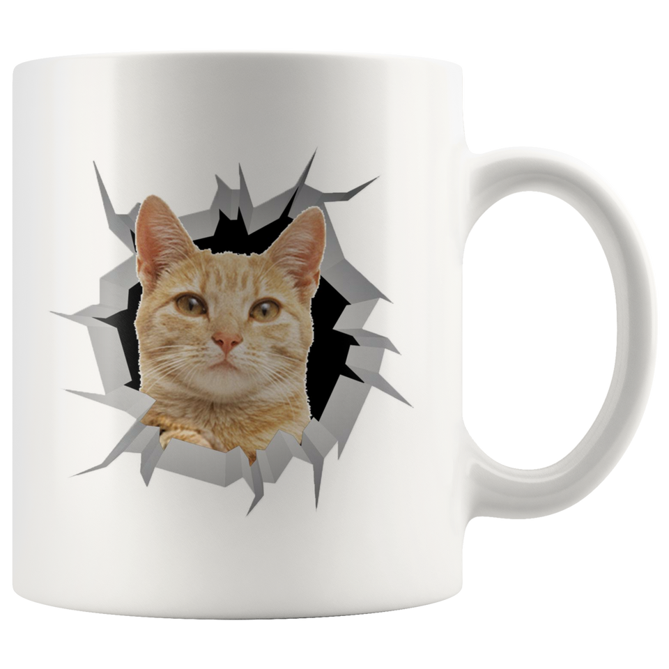cat 21