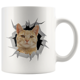 cat 21