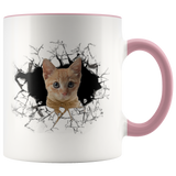 cat 112