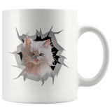 cat 30