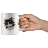 cat 20