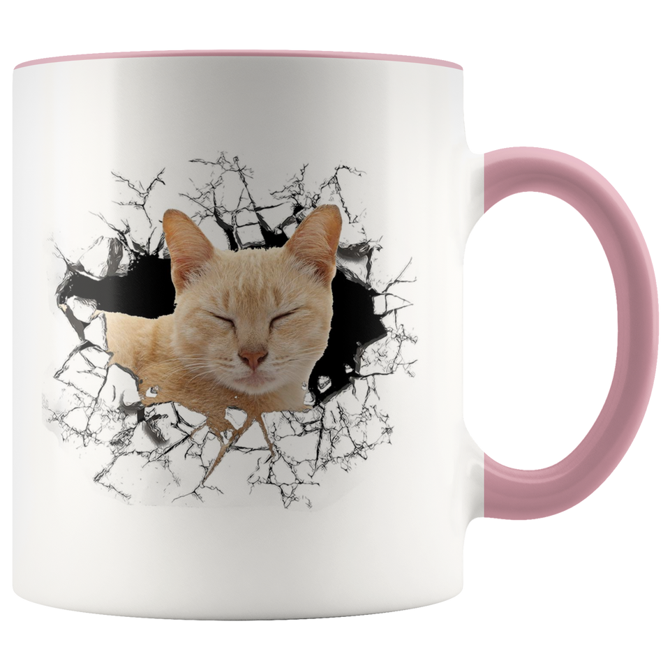 cat 111