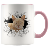 cat 111