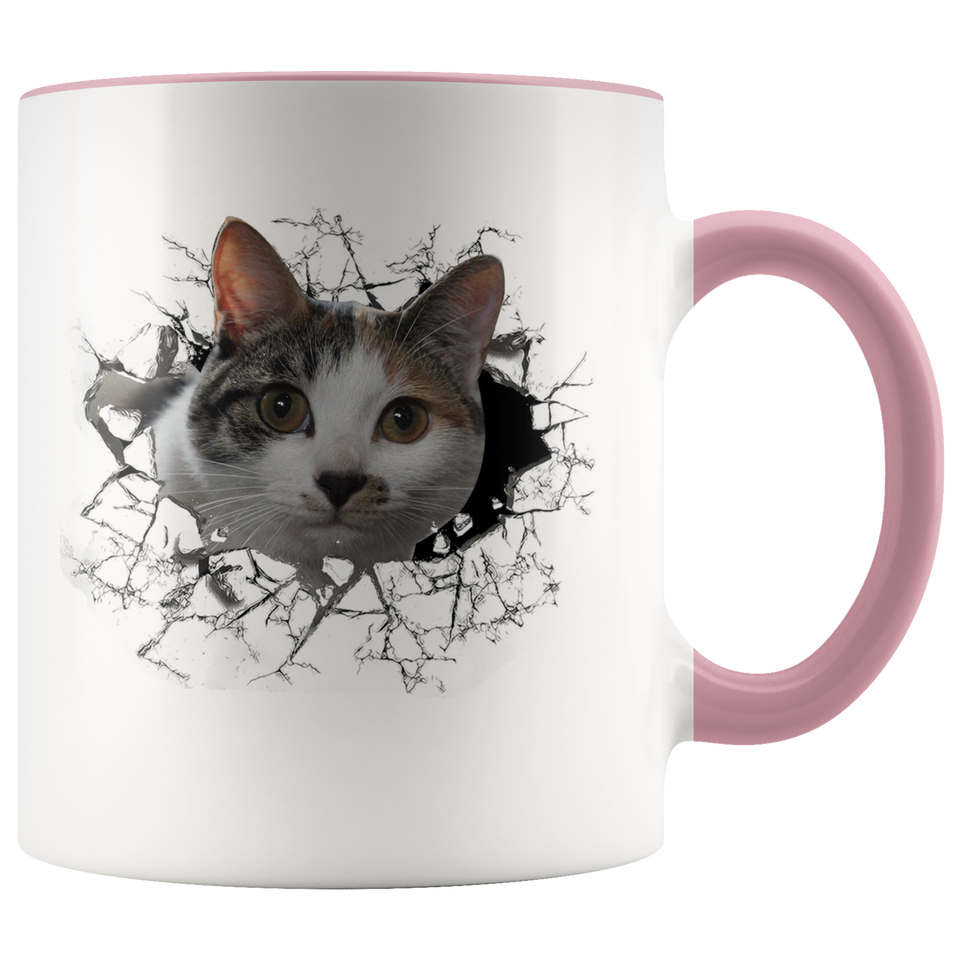 cat 102