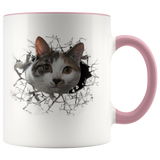 cat 102