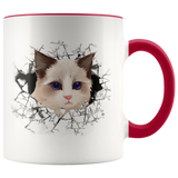 cat 107