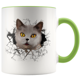cat 104