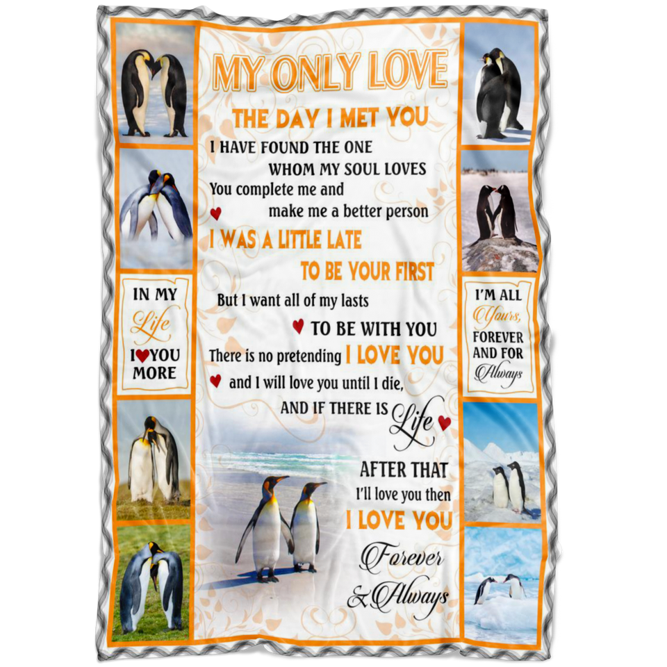 my only love blanket - Penguins