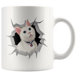 cat 29