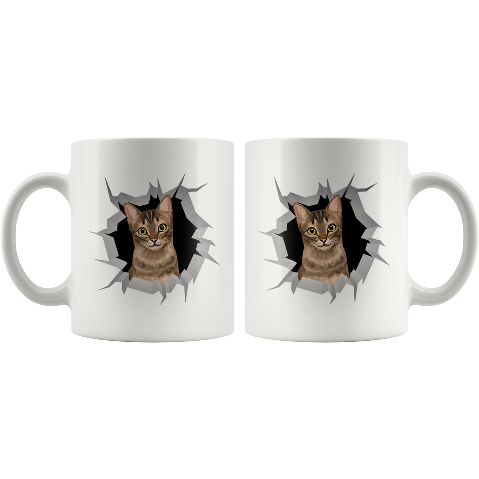 cat 31