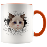 cat 107