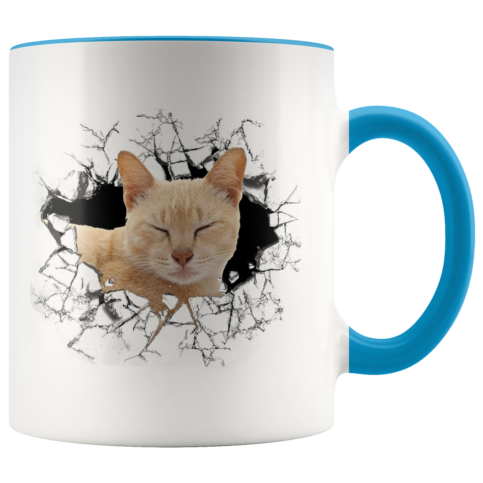 cat 111