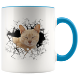 cat 111